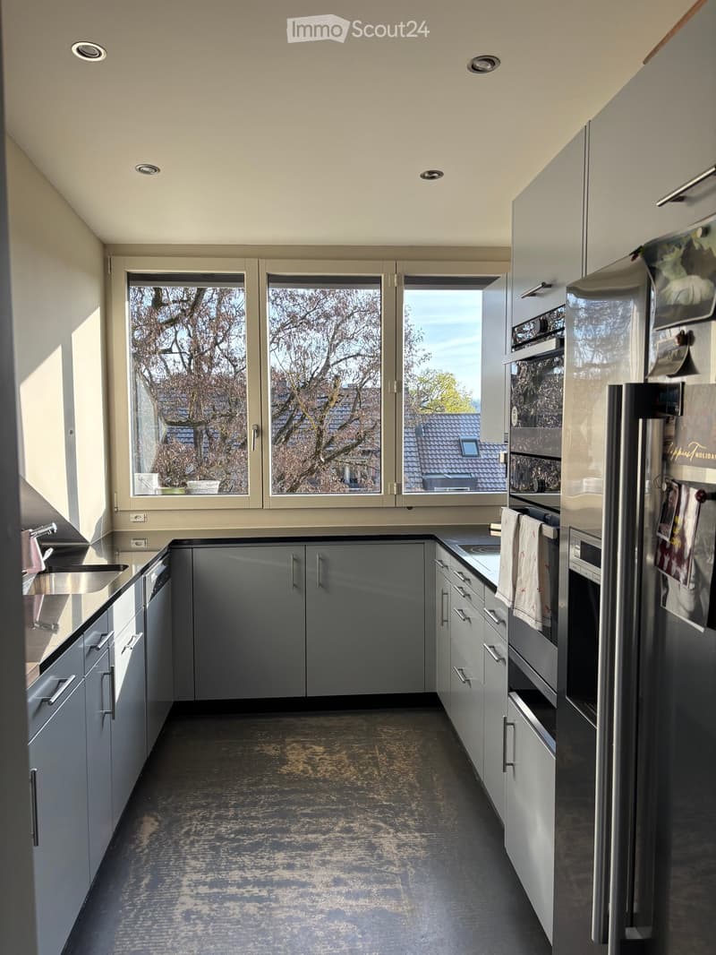 Modern kitchen with grey cabinets, stainless steel appliances, and large windows overlooking a tree-lined street.