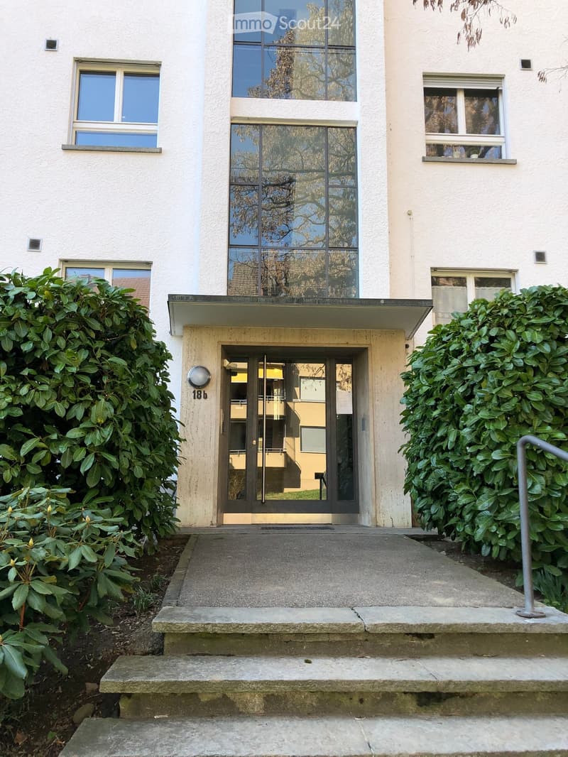 Modern building entrance with large glass windows, concrete steps, and surrounding greenery.