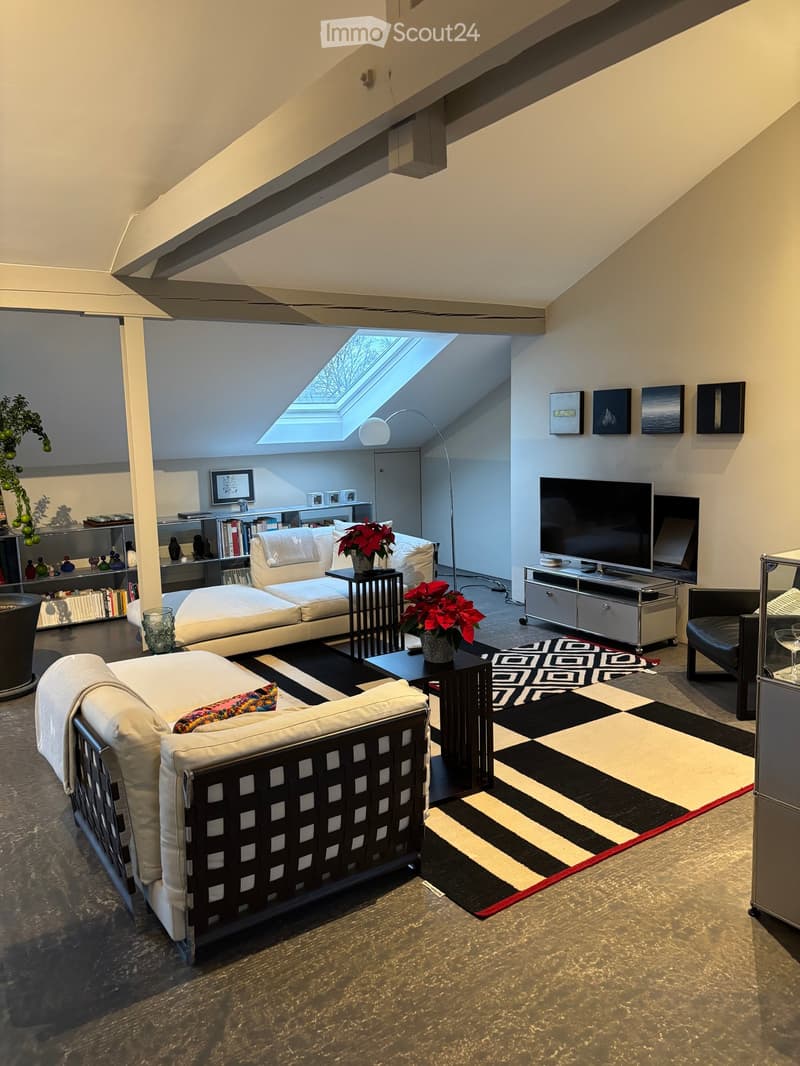 Modern living room with white sofa, coffee table, TV, floor lamp, bookshelf, and potted plants. Features a skylight and contemporary decor.
