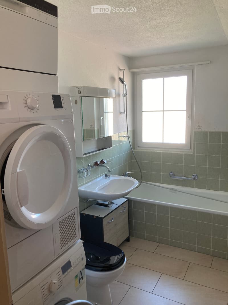 Bathroom with a toilet, sink, bathtub, mirror, and a washing machine and dishwasher unit on the left side.