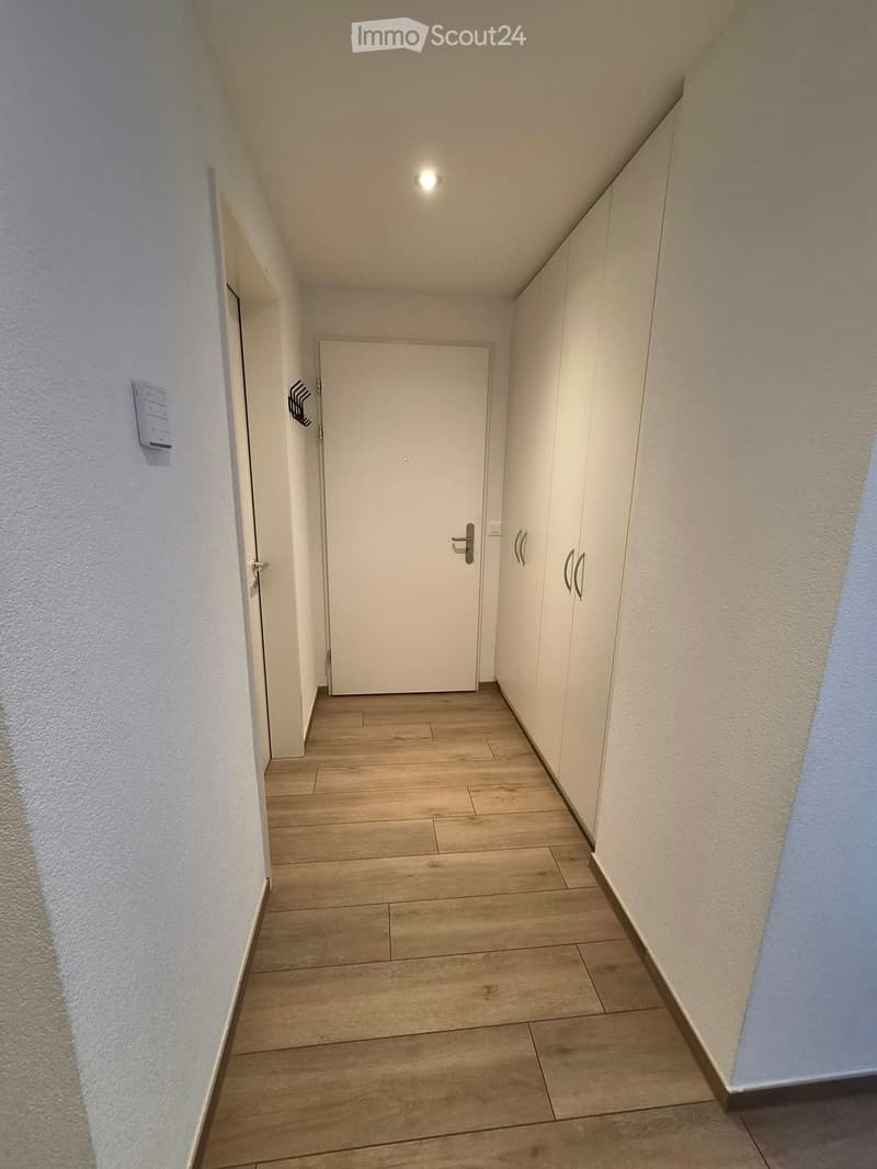 A narrow hallway with light wooden flooring, white walls, and built-in white cabinets on one side. A closed door is visible at the end of the hallway.