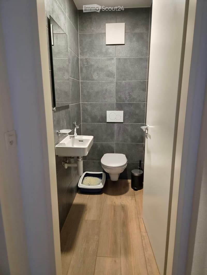 Modern bathroom with grey tiled walls, white sink, toilet, and a small trash can. Wooden floor and a mirror on the left wall.