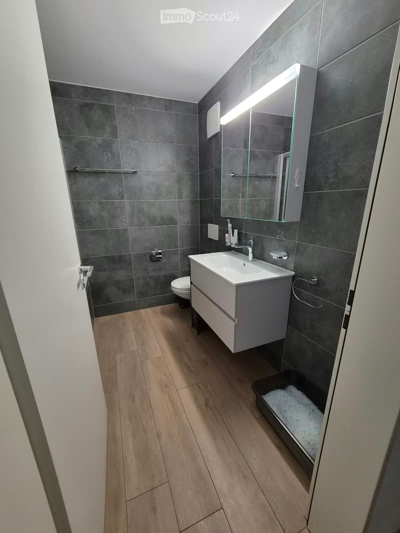 Modern bathroom with dark grey tiled walls, light wooden flooring, a white sink with a modern faucet, a large mirror with built-in lighting, and a toilet.