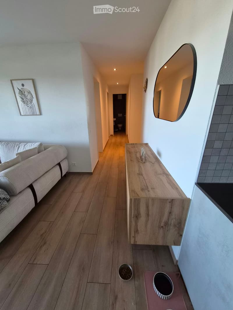 A modern hallway with a sofa on the left, a wooden table with a mirror above it, and a pet feeding area with bowls on the right.