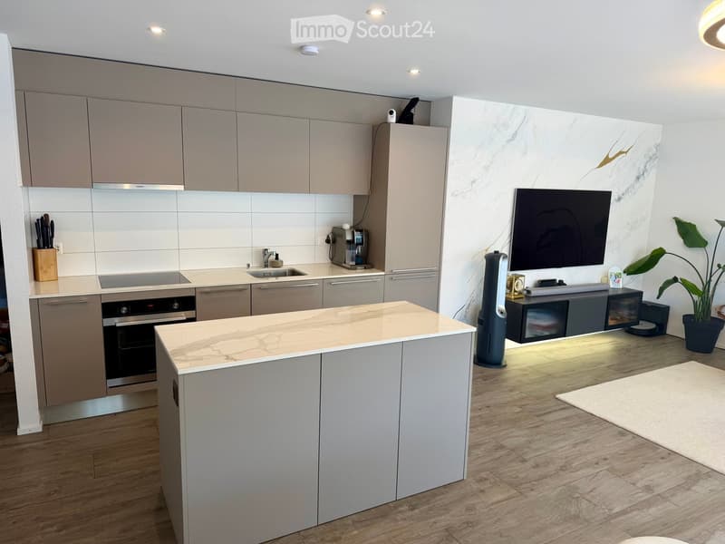 Modern kitchen with light grey cabinets, marble countertops, stainless steel appliances, and a central island. Includes a TV, a fan, and a potted plant.