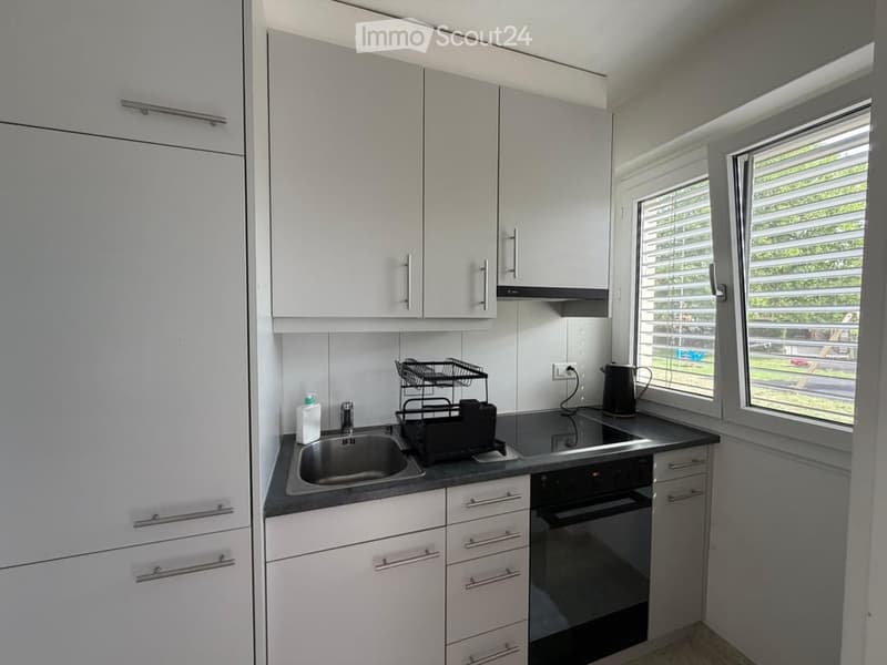 Modern kitchen with white cabinets, stainless steel sink, oven, and countertop. Includes a dish rack and teapot on the counter.