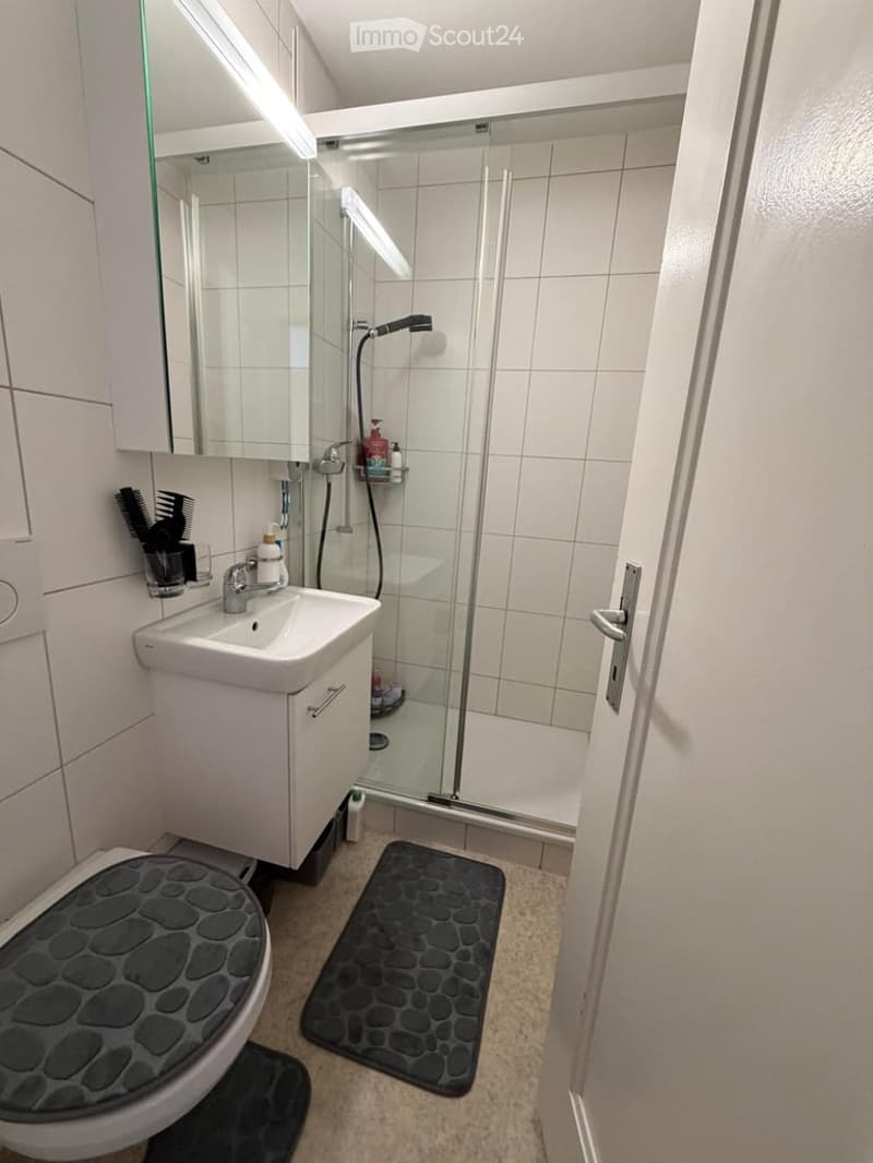 Modern bathroom with white tiles, a glass-enclosed shower, a white sink with a cabinet, a toilet, and a large mirror above the sink. The floor has beige tiles and black stone-textured rugs.