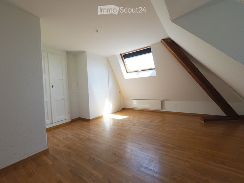 Empty attic room with wooden flooring, white walls, and a skylight window allowing natural light. The room features a white door and a radiator on one wall.