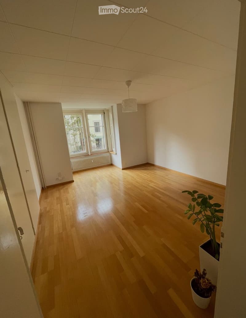 Empty hallway with wooden flooring, white walls, and a single hanging light fixture. A potted plant is placed near the corner.