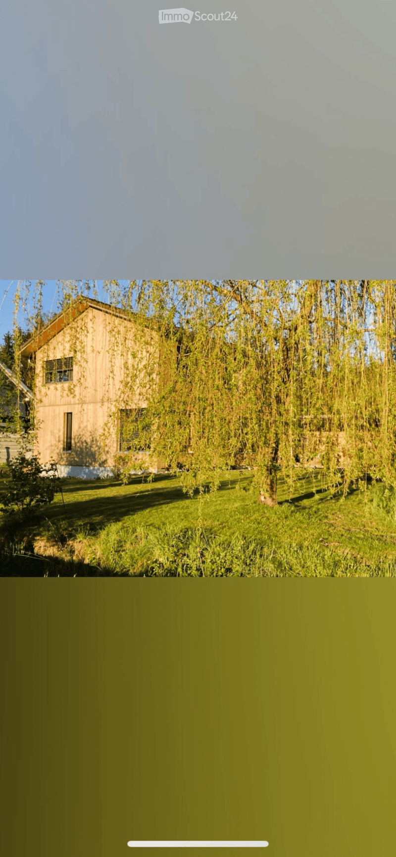 A modern wooden house with large windows, surrounded by lush greenery and trees.