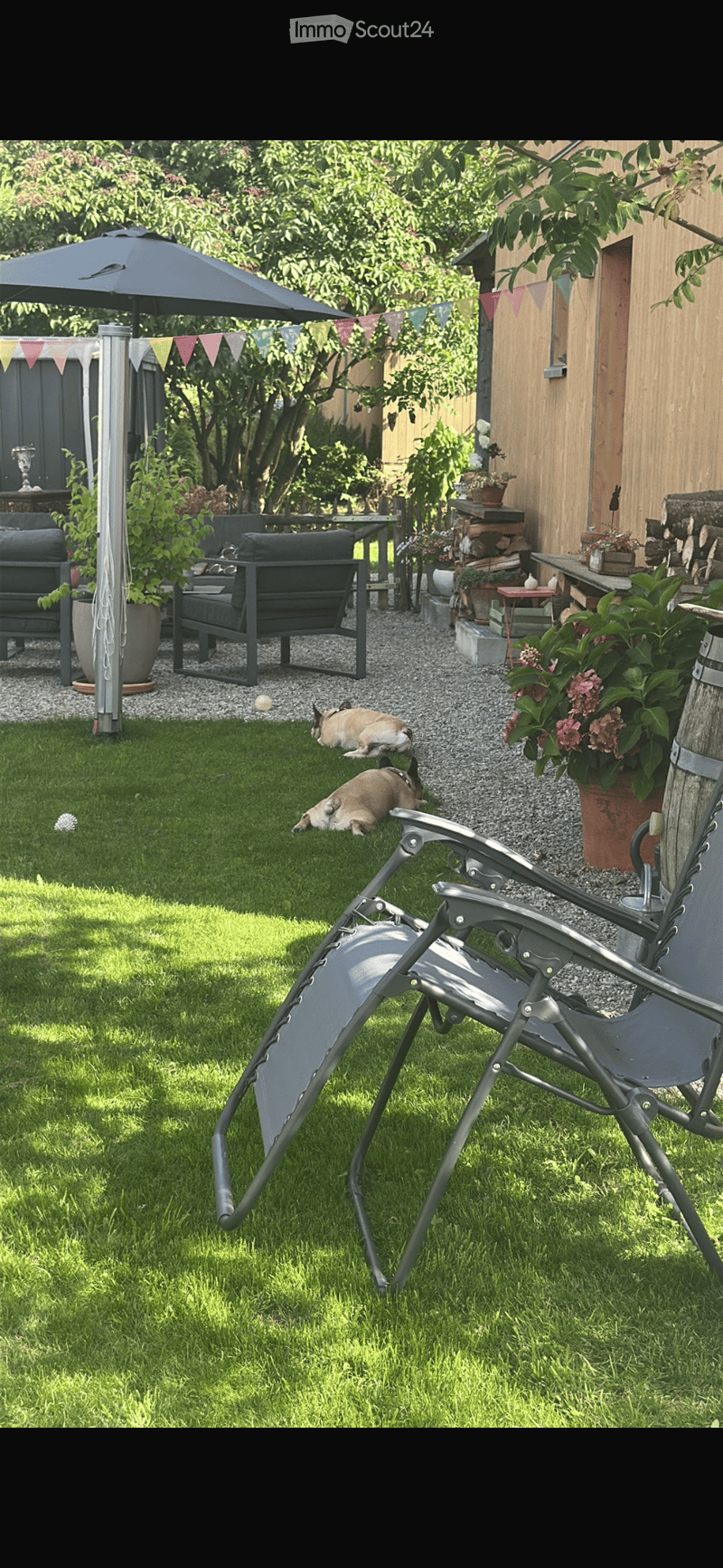 Garden with lawn, two rabbits resting, lounge chair, patio furniture, umbrella, and potted plants.