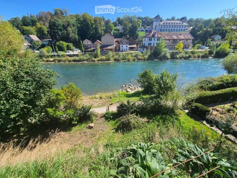 A scenic riverside view with a clear river, lush greenery, and a mix of residential and commercial buildings on the opposite bank.