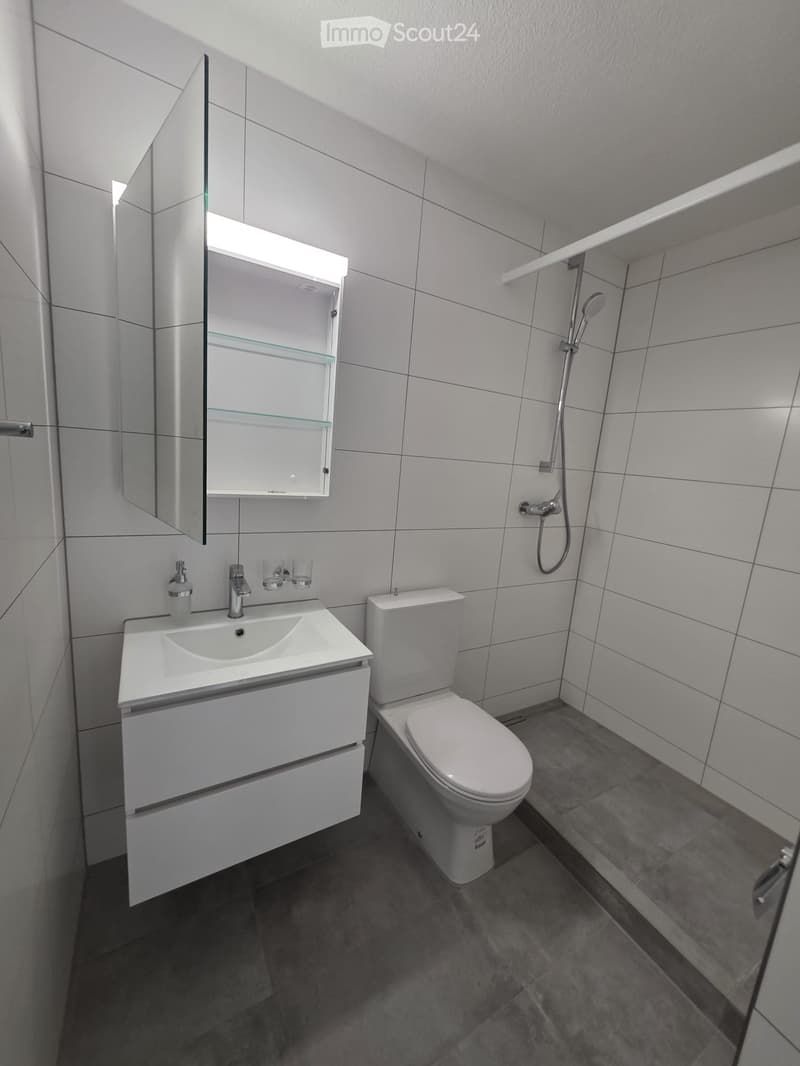 Modern bathroom with white tiles, a sink with a mirror cabinet, a toilet, and a shower area with a handheld showerhead.