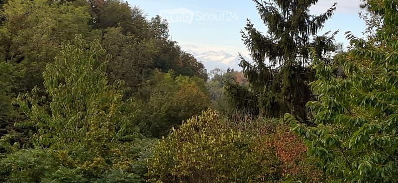 Lush green garden with dense trees and shrubs, offering a scenic mountain view in the background.
