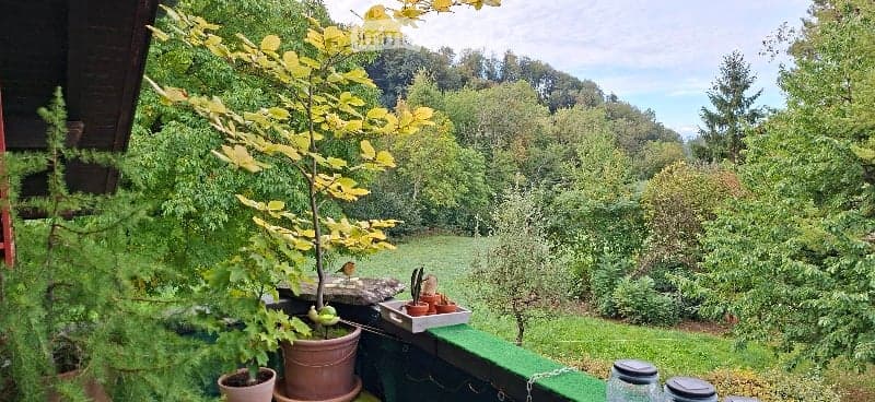 Garden area with potted plants, a small tree, and a scenic view of green hills and trees in the background.