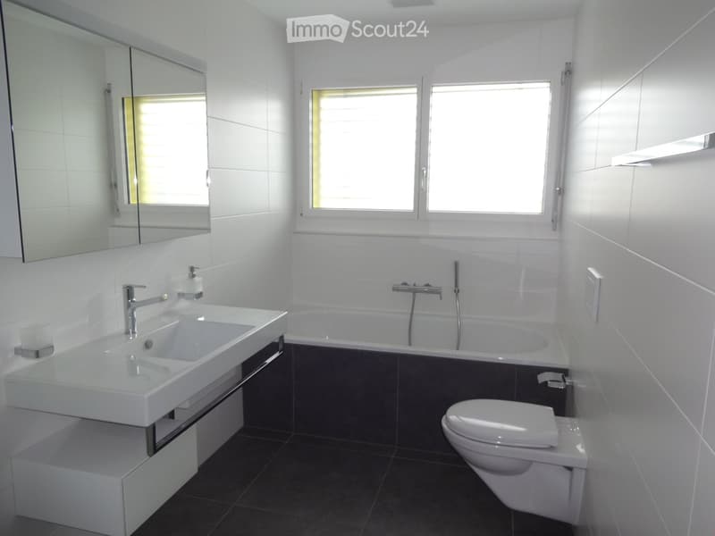 bathroom, bathtub, white walls, white tiles, mirror, sink, toilet, windows