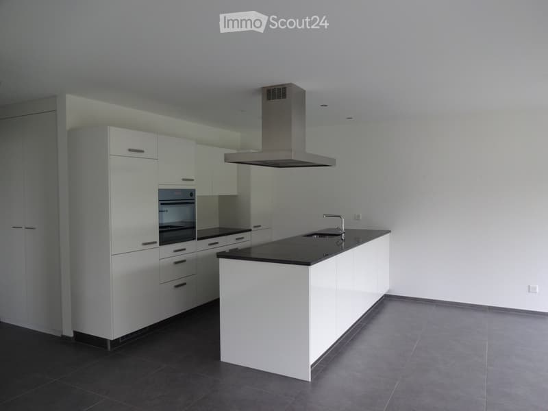 modern kitchen, white cabinets, black countertops, integrated oven and dishwasher, stainless steel extractor hood, white tiled flooring