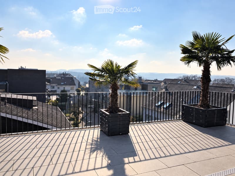 Balcony with tiled floor, metal railing, and two potted palm trees, overlooking a residential area with houses and distant hills.