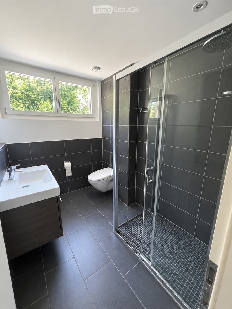 Modern bathroom with dark tiled walls and floor, white sink, toilet, and glass-enclosed shower with a modern showerhead.