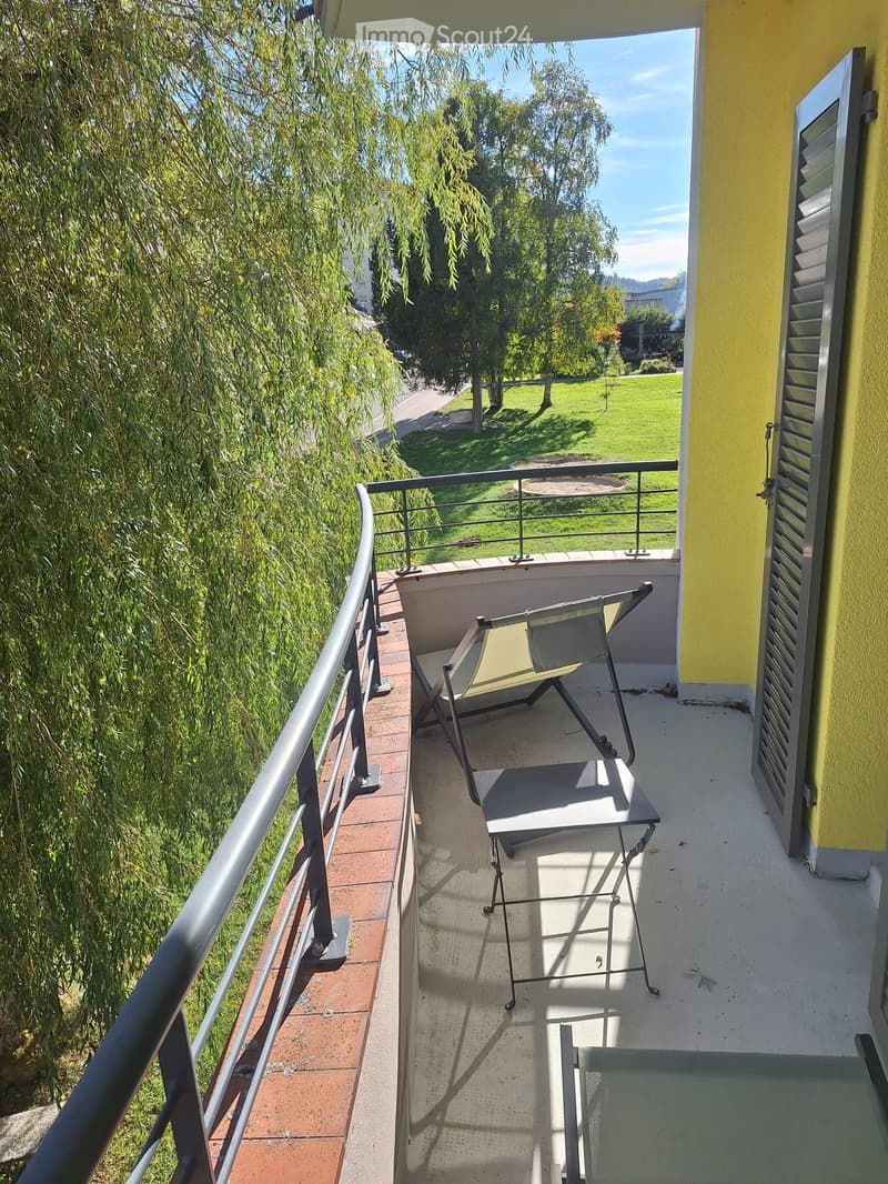 Balcony with a metal railing, a single chair, and a view of a green park area with trees.