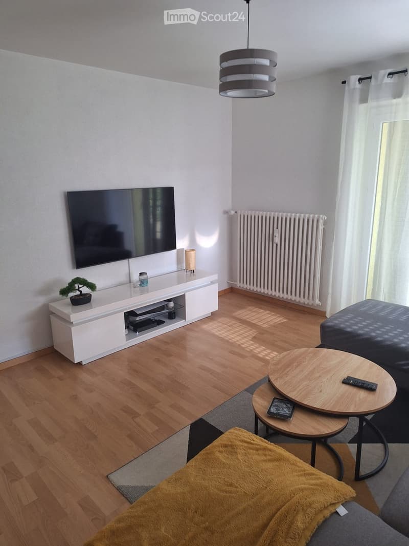 Modern living room with wooden flooring, a grey sofa, a coffee table, a TV stand with a flat-screen TV, a small round table, and a hanging lamp.