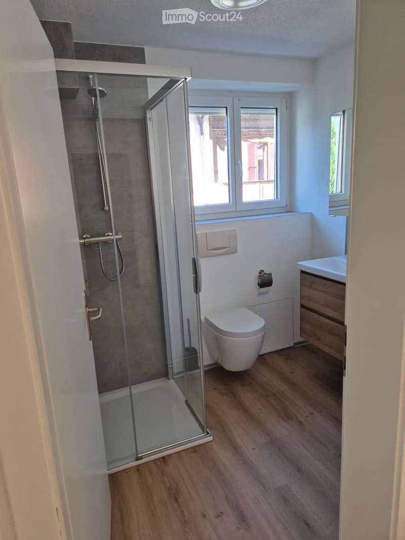 Modern bathroom with wooden flooring, a glass-enclosed shower, a toilet, and a sink with a wooden cabinet.
