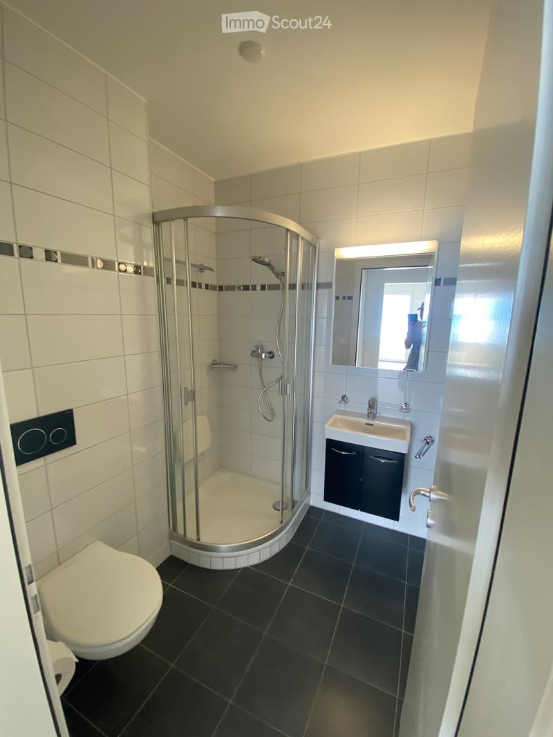 Modern bathroom with white tiles, black floor tiles, a corner shower with glass enclosure, a toilet, a sink with a mirrored cabinet, and a dark-colored cabinet under the sink.