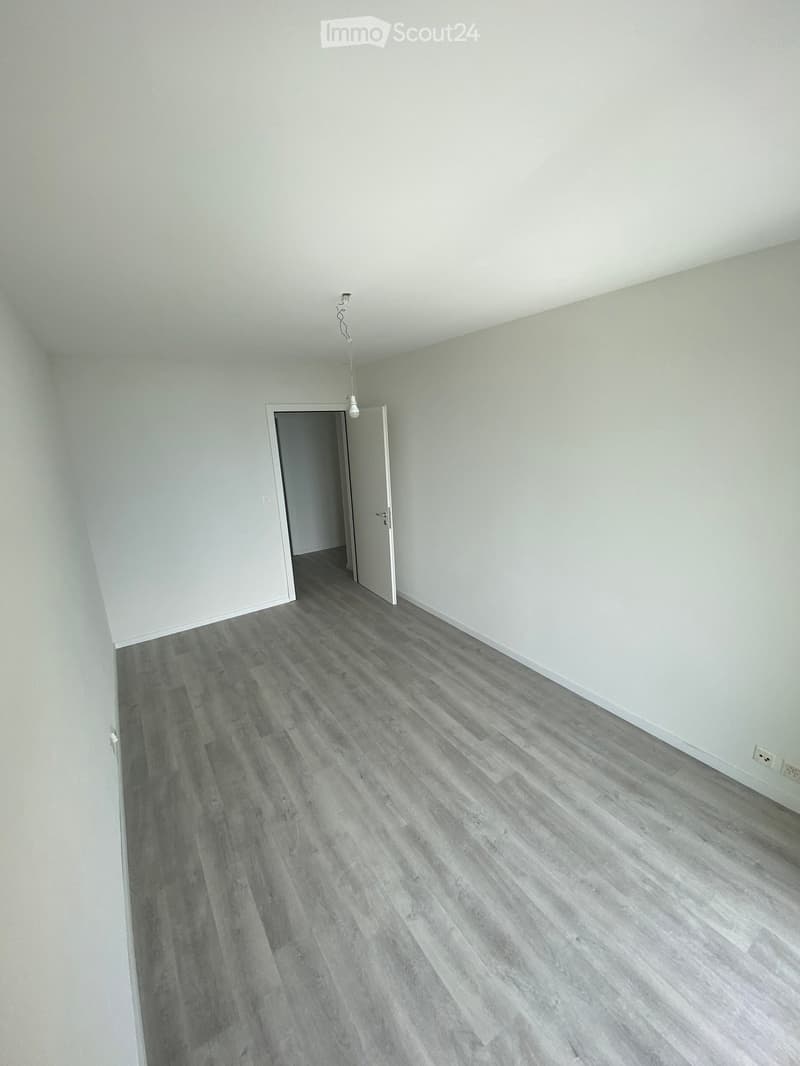 Empty room with light grey wooden flooring and white walls. A single open doorway leads to another space, and a single light fixture hangs from the ceiling.