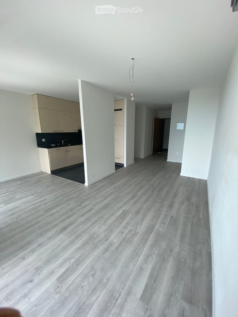 Empty room with light grey wooden flooring, white walls, and a small kitchen area with cabinets and a sink visible in the background.