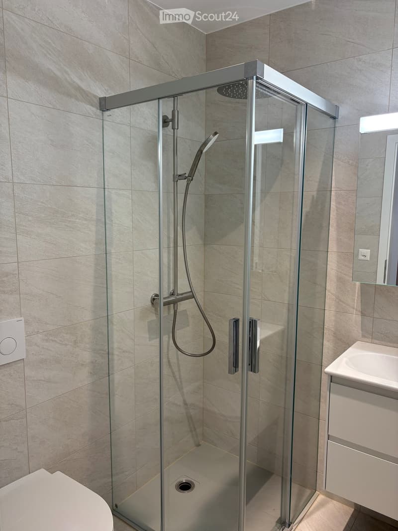 Modern bathroom with a glass-enclosed shower, toilet, sink, and mirror. The shower features a handheld sprayer and a fixed overhead showerhead.