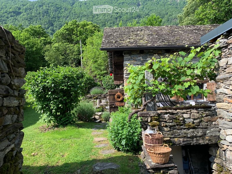 A rustic stone cottage surrounded by lush greenery and a grassy lawn, with wicker baskets placed near the entrance and a wooden bench visible in the background.