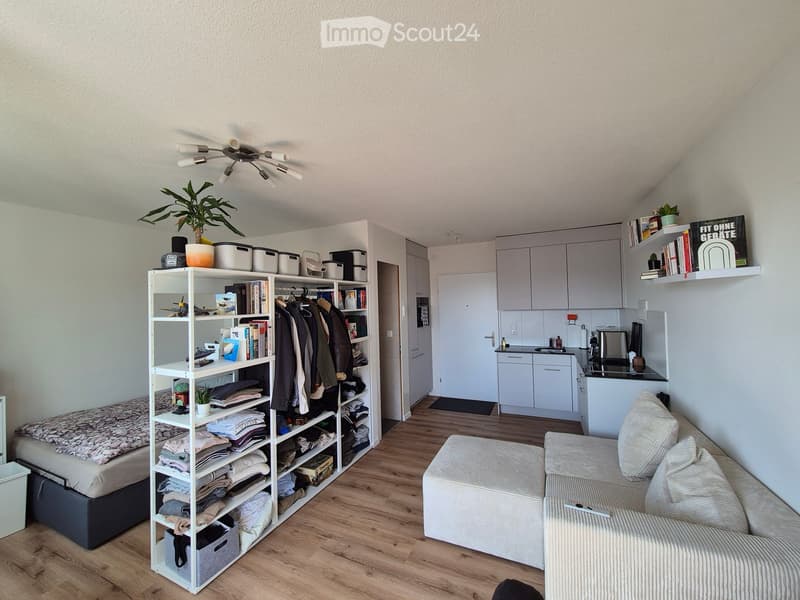 A modern, compact living space with a sofa, ottoman, bed, shelving unit, and a small kitchen area.