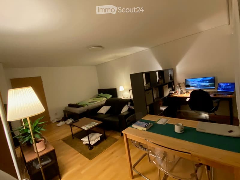 A multi-functional room with a bed, sofa, coffee table, desk, and laptop, featuring wooden flooring and modern decor.