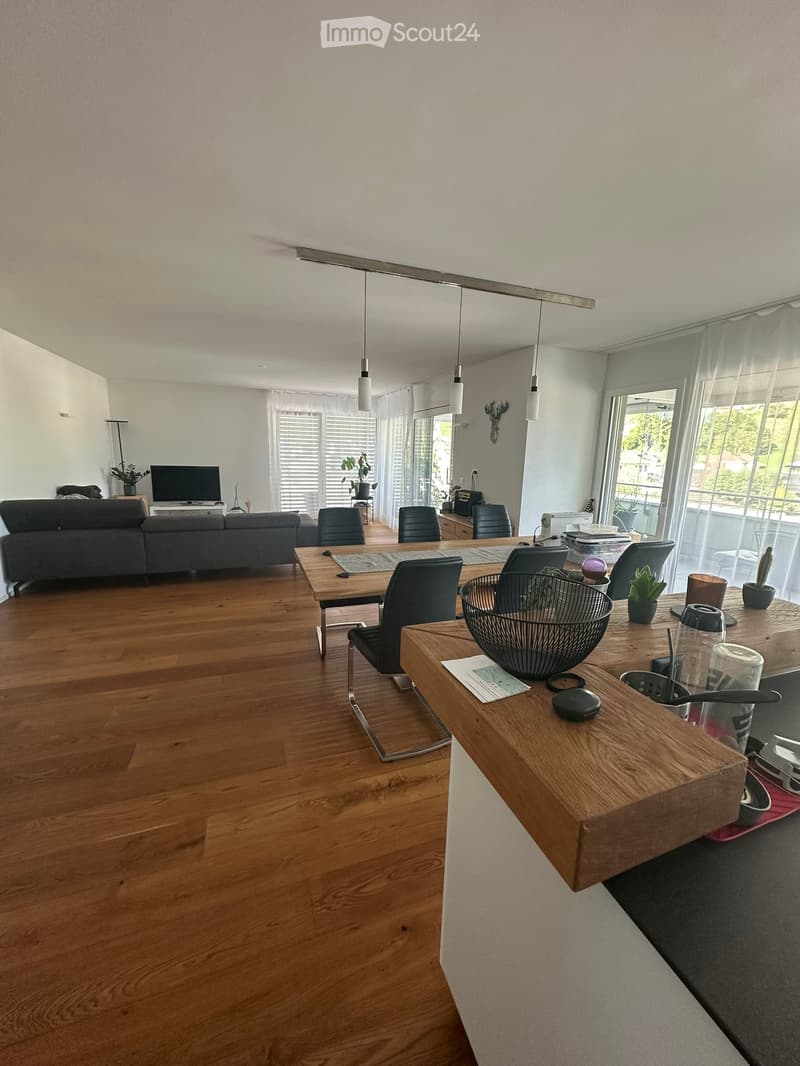 Open-plan living and dining area with wooden flooring, a grey sofa, a dining table with chairs, a television, and a modern kitchen island with a bowl and potted plants.
