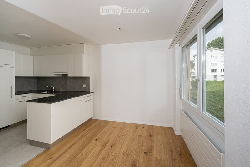 Modern kitchen with white cabinets, black countertop, and wooden flooring. Features a sink with a faucet and large windows overlooking a green area.