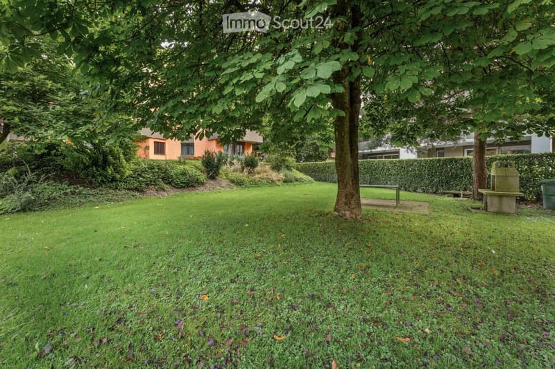 Well-maintained garden with a large tree, neatly trimmed hedges, and a small bench. The lawn is lush and green, with a few scattered leaves and small plants. The background shows parts of neighboring houses and additional greenery.
