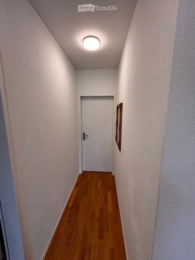 A narrow hallway with wooden flooring, white walls, and a single closed door at the end. A small round ceiling light illuminates the space, and a framed picture hangs on the right wall.