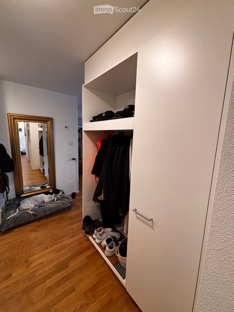 A hallway with wooden flooring, a large mirror on the wall, a dog bed with a dog resting on it, and an open closet with clothes, shoes, and hats inside.