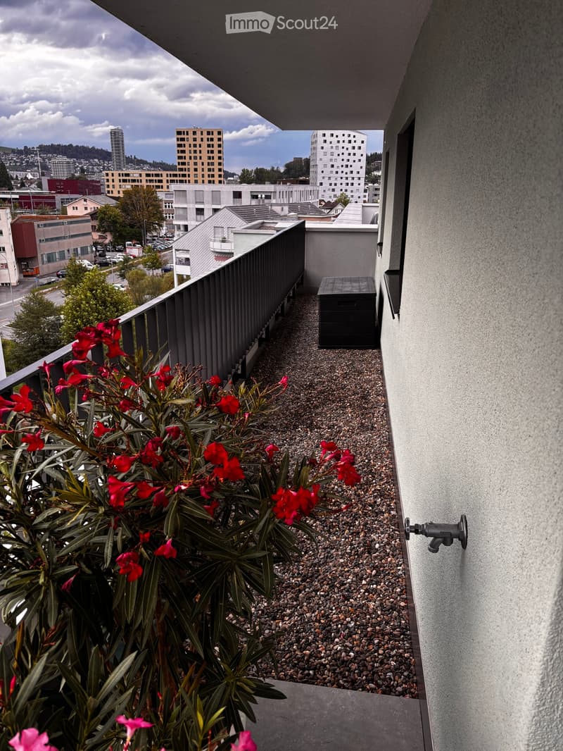 Balcony with a gravel surface, red flowers, and a small black storage box. The background shows a cityscape with buildings and trees.