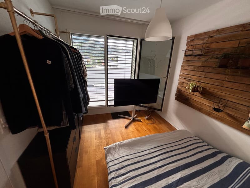 Modern bedroom with wooden flooring, a bed with striped bedding, a television on a stand, a wardrobe with hanging clothes, and a potted plant on a wooden shelf.