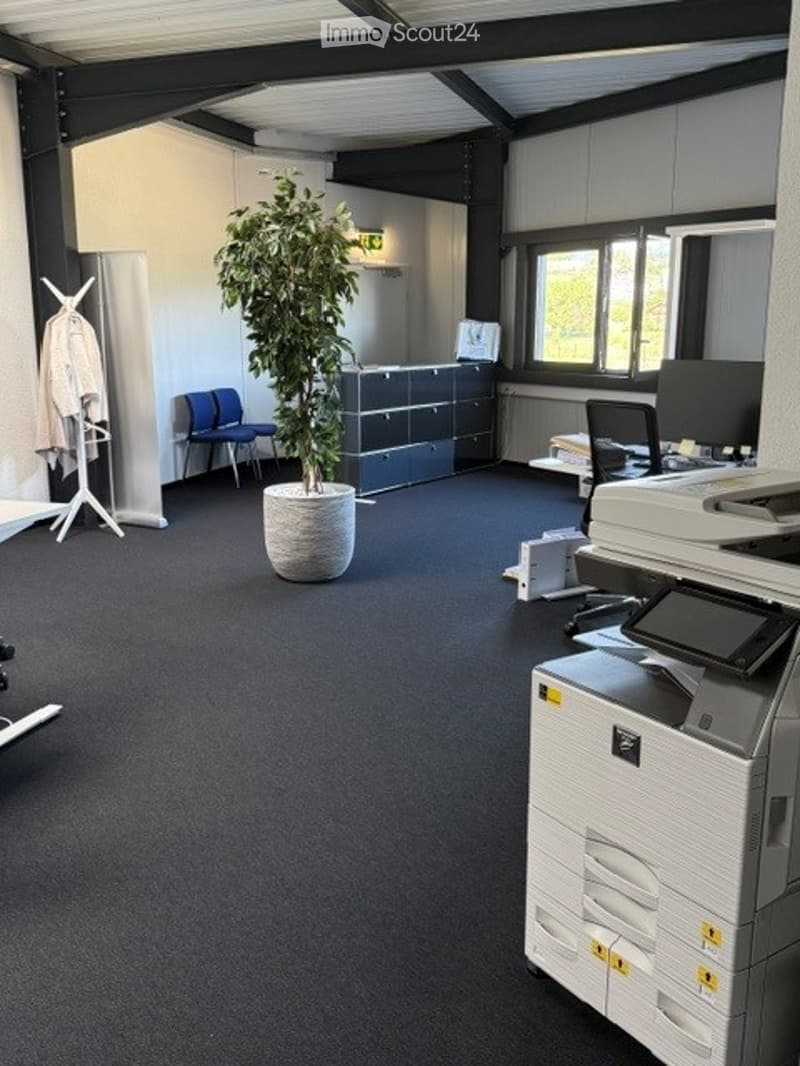 Office space with carpeted floor, large potted plant, grey cabinet, two chairs, computer screen, and printer.