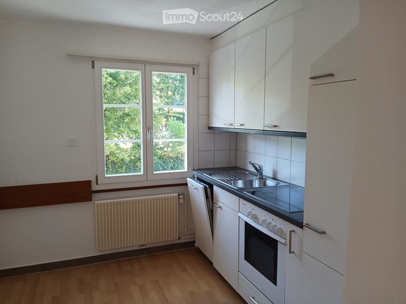 Modern kitchen with white cabinets, stainless steel sink, oven, and dishwasher. Features wooden flooring and large windows with a view of greenery.