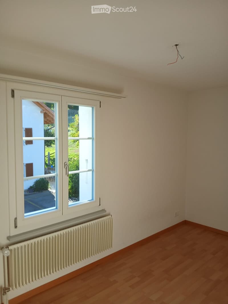 Empty room with wooden flooring, white walls, large windows, and a radiator below the windows.