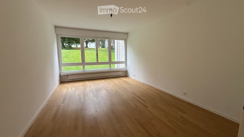 empty room, wooden floor, large window, white wall, outdoor view