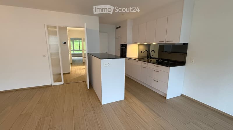Open concept kitchen, island, white cabinets, modern appliances, wooden floors