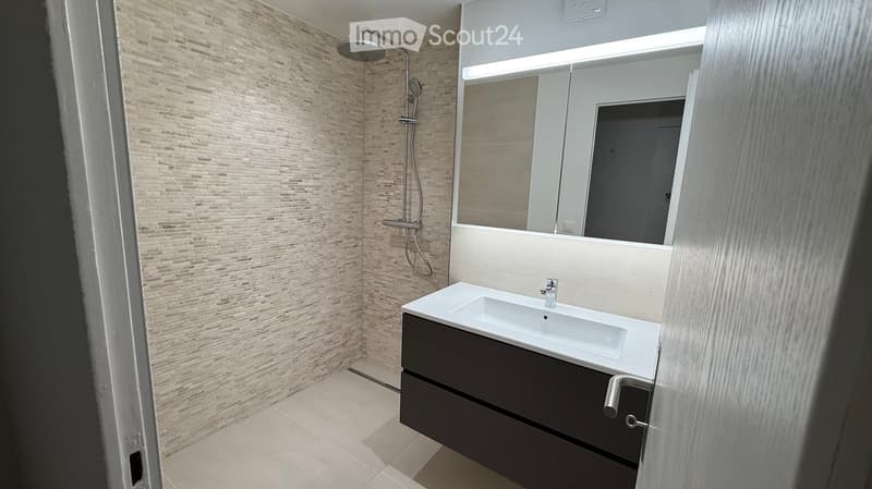 Modern bathroom with a white sink, dark wooden cabinet, large mirror, and a shower with a handheld sprayer.