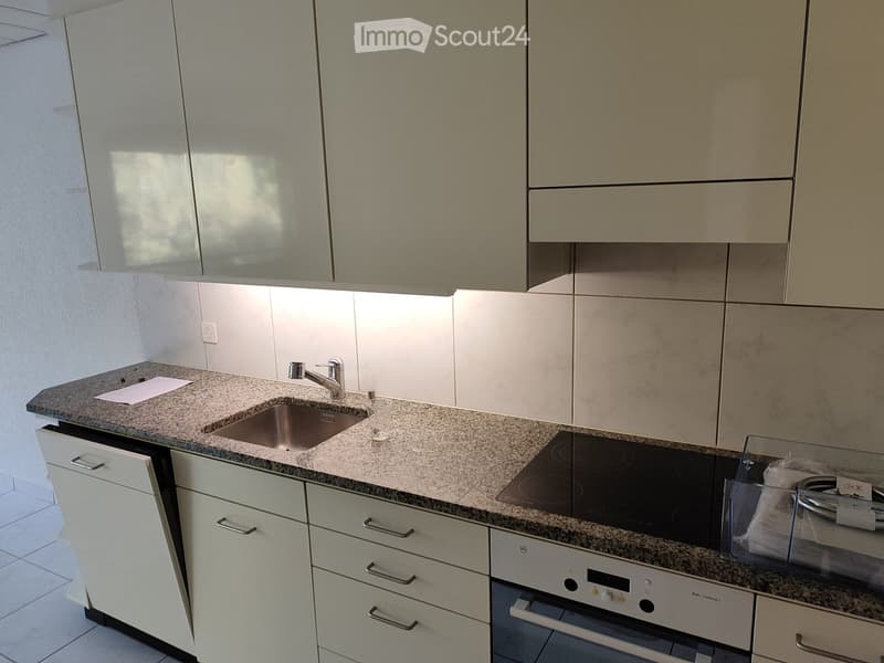 Modern kitchen with granite countertops, stainless steel sink, induction stove, and built-in oven. Light-colored cabinets and tiled backsplash.