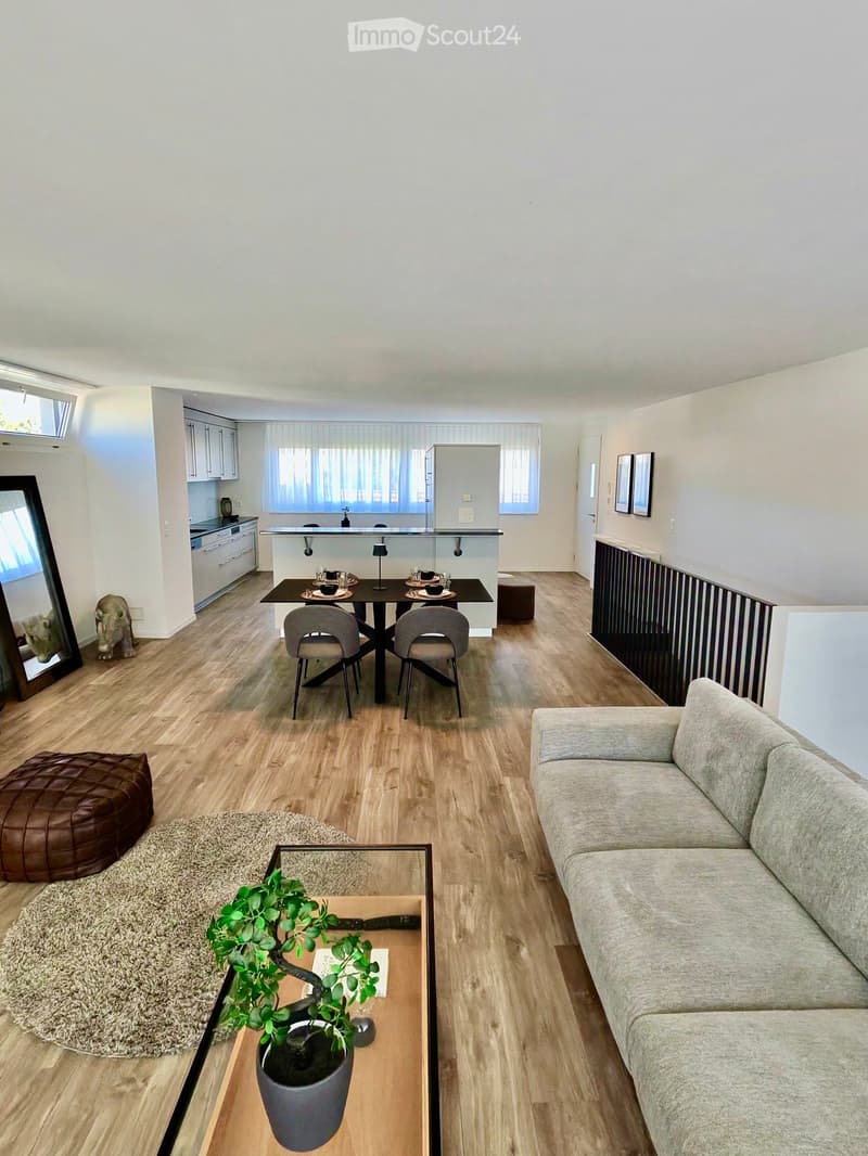 Modern living room with a grey sofa, coffee table, potted plant, dining area with chairs and table, kitchen area with cabinets, and a large mirror on the wall.