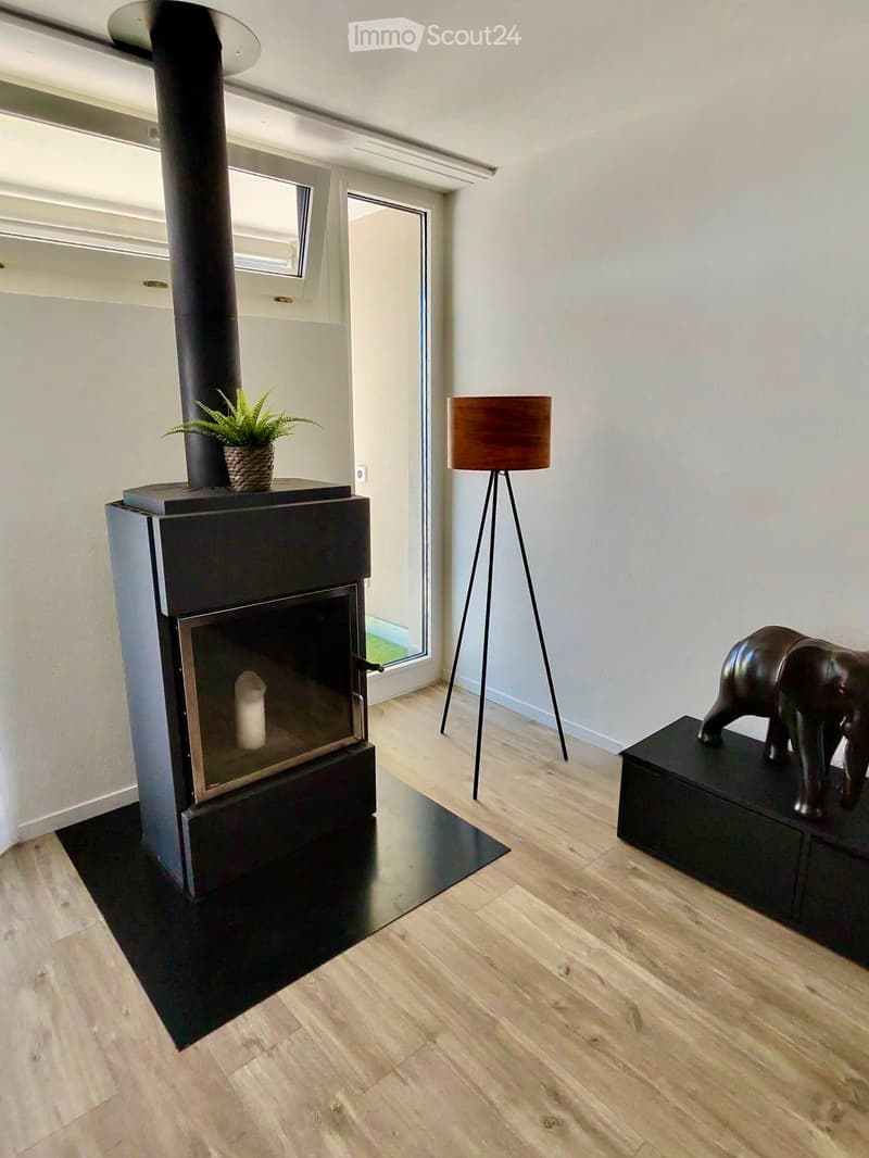 Modern living room with a sleek black fireplace, wooden floor, floor lamp, small table with a decorative elephant statue, and a potted plant on the fireplace mantle.