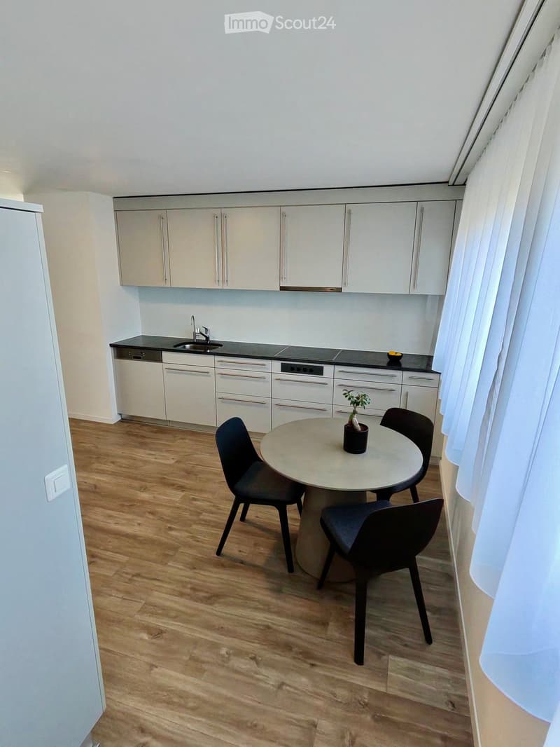 Modern kitchen with white cabinets, stainless steel appliances, a round dining table with four chairs, and a small potted plant on the table.